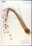 000021980-thumbnail.jpg