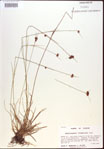 000021981-thumbnail.jpg