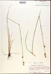 000021982-thumbnail.jpg