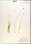 000021984-thumbnail.jpg
