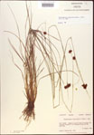 000021985-thumbnail.jpg