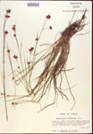 000021987-thumbnail.jpg