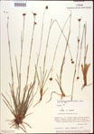 000021988-thumbnail.jpg