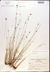 000021989-thumbnail.jpg