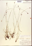 000021990-thumbnail.jpg