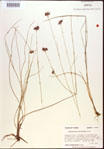 000021991-thumbnail.jpg