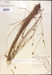 000021992-thumbnail.jpg