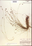 000021993-thumbnail.jpg
