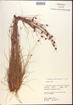 000021994-thumbnail.jpg