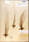 000021995-thumbnail.jpg