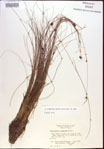 000021996-thumbnail.jpg