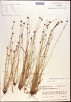 000021997-thumbnail.jpg