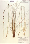000021998-thumbnail.jpg