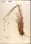 000021999-thumbnail.jpg