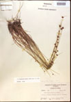 000022000-thumbnail.jpg