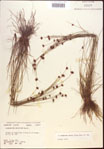 000022001-thumbnail.jpg
