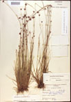 000022002-thumbnail.jpg