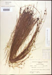 000022003-thumbnail.jpg