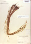 000022004-thumbnail.jpg