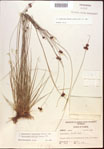 000022005-thumbnail.jpg