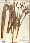 000022006-thumbnail.jpg
