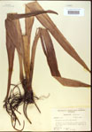 000022007-thumbnail.jpg
