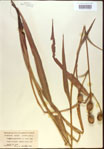 000022008-thumbnail.jpg