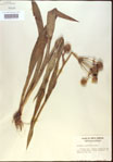 000022010-thumbnail.jpg