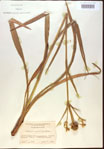 000022011-thumbnail.jpg