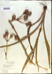 000022012-thumbnail.jpg
