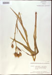 000022013-thumbnail.jpg