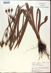 000022020-thumbnail.jpg