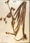 000022021-thumbnail.jpg