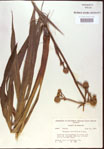 000022022-thumbnail.jpg
