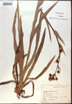 000022024-thumbnail.jpg