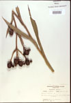 000022025-thumbnail.jpg