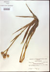 000022026-thumbnail.jpg
