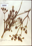 000022027-thumbnail.jpg