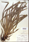 000022028-thumbnail.jpg