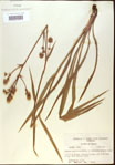 000022029-thumbnail.jpg