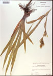 000022030-thumbnail.jpg