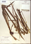 000022031-thumbnail.jpg