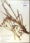 000022034-thumbnail.jpg
