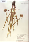 000022035-thumbnail.jpg