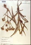 000022036-thumbnail.jpg