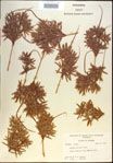 000022122-thumbnail.jpg