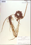 000022230-thumbnail.jpg