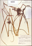 000022231-thumbnail.jpg