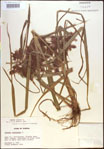 000022254-thumbnail.jpg