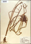 000022256-thumbnail.jpg